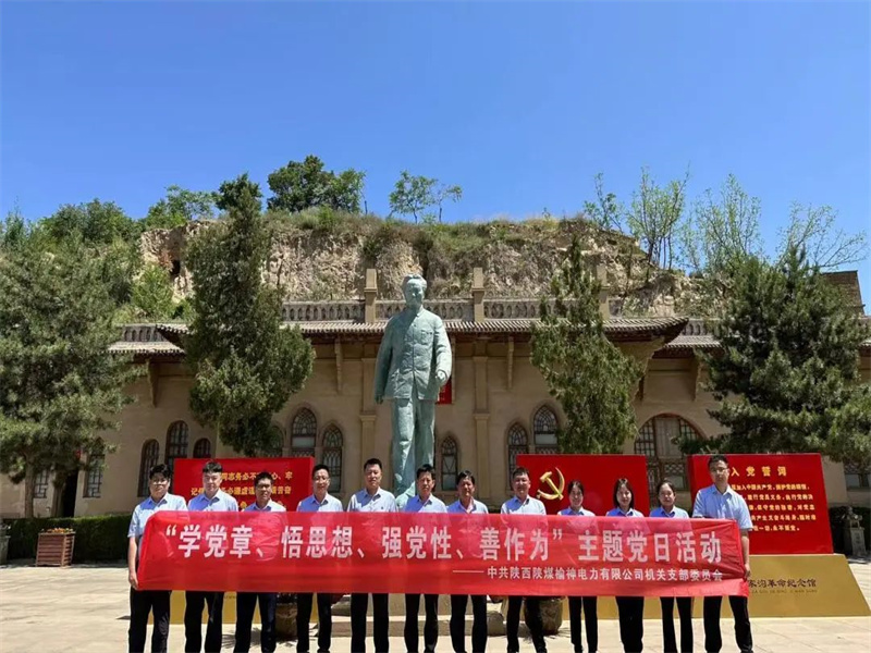 榆神電力公司開展“學(xué)黨章、悟思想、強(qiáng)黨性、善作為”主題黨日活動(dòng).jpg